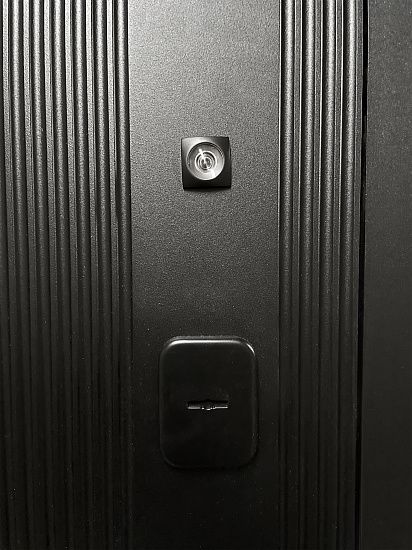 Входная дверь  